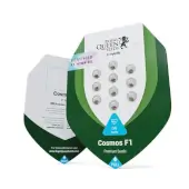 Cosmos F1 Auto CBD