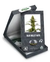 Blue Bullet Auto