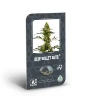 Blue Bullet Auto