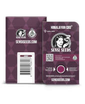 CBD Himalayan (aka Sensi #49 CBD)