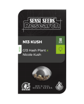 N13 Kush