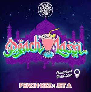 Peach Lassi