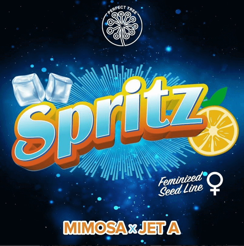 Spritz