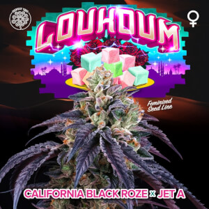 Loukoum