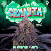 Granita