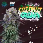 Coconut Cream
