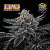 Cherry Crisp