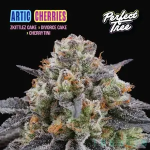 Arctic Cherries