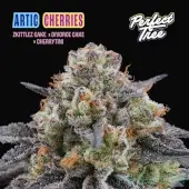 Arctic Cherries