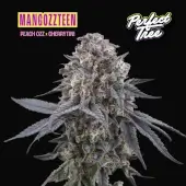 Mangozteen