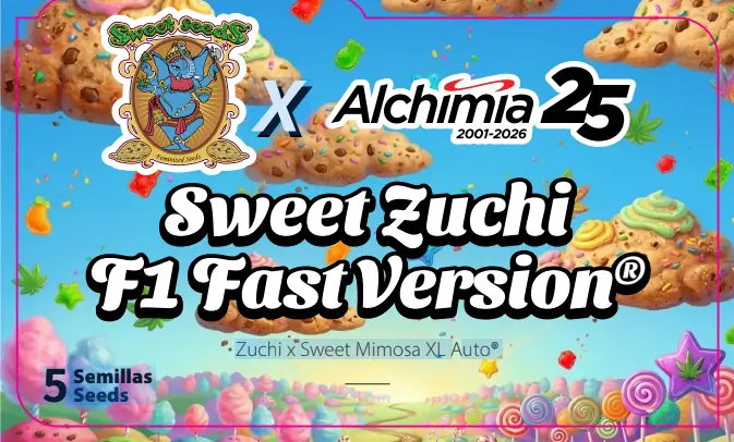 Sweet Zuchi F1 Fast Version