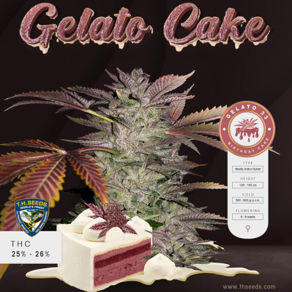 Gelato Cake