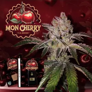 Mon Cherry