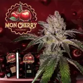 Mon Cherry