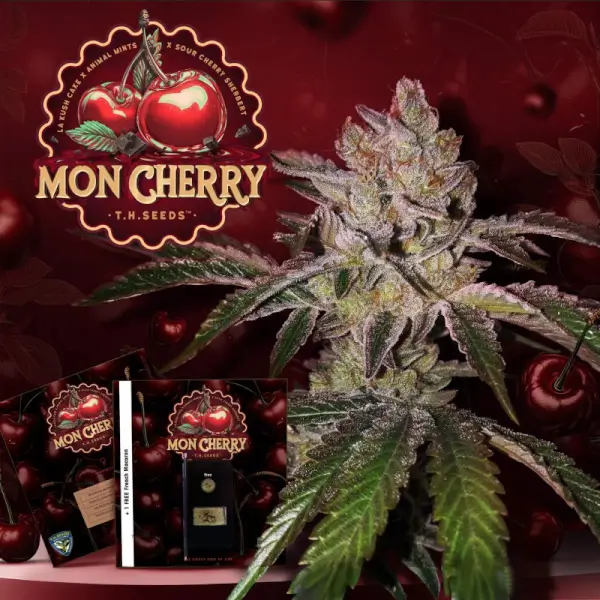 Mon Cherry