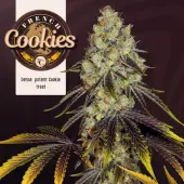 French Cookies