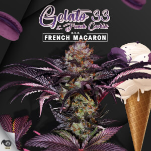 French Macaron aka Gelato 33