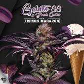 French Macaron aka Gelato 33
