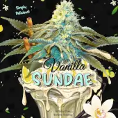 Vanilla Sundae 710 Special Pack