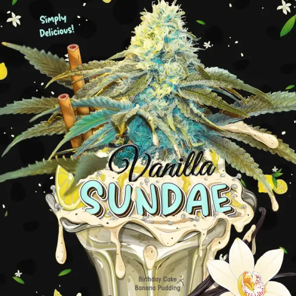 Vanilla Sundae 710 Special Pack