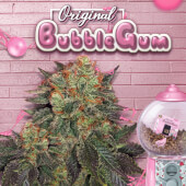 BubbleGum
