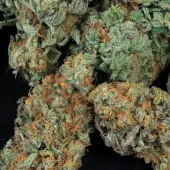 MK-Ultra