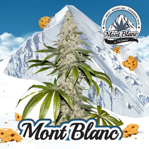 Mont Blanc