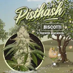Pisthash