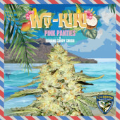 Wy-Kiki