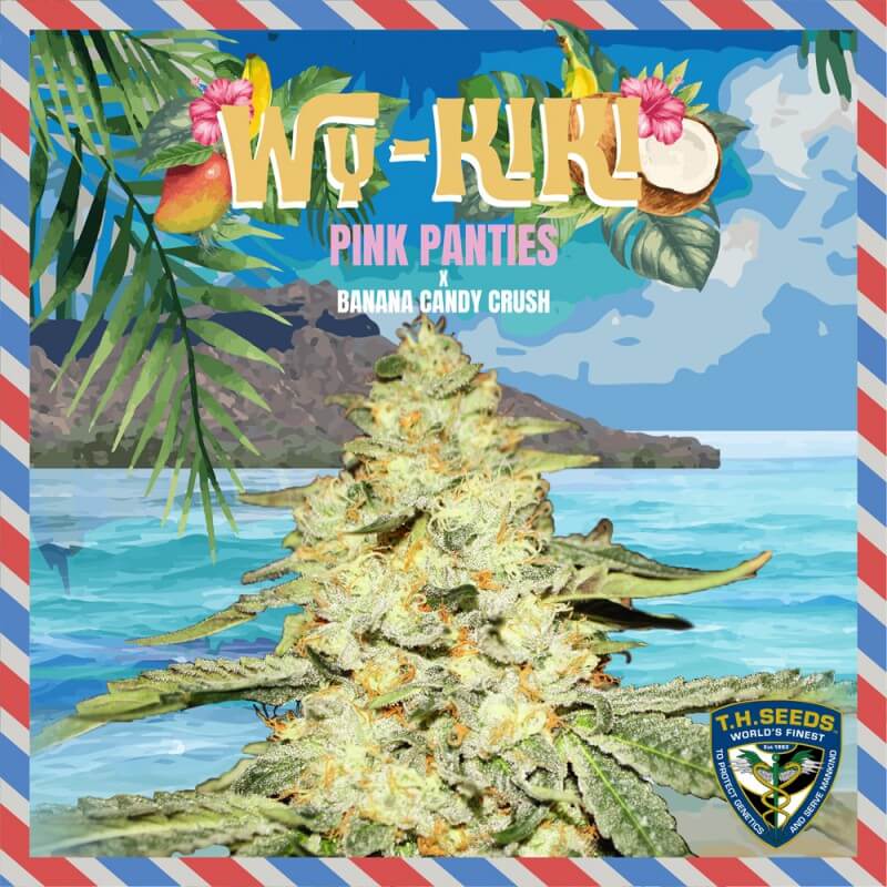 Wy-Kiki