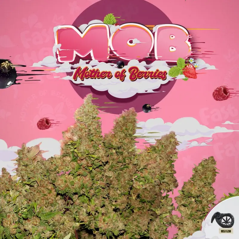 MOB - Mother of Berries