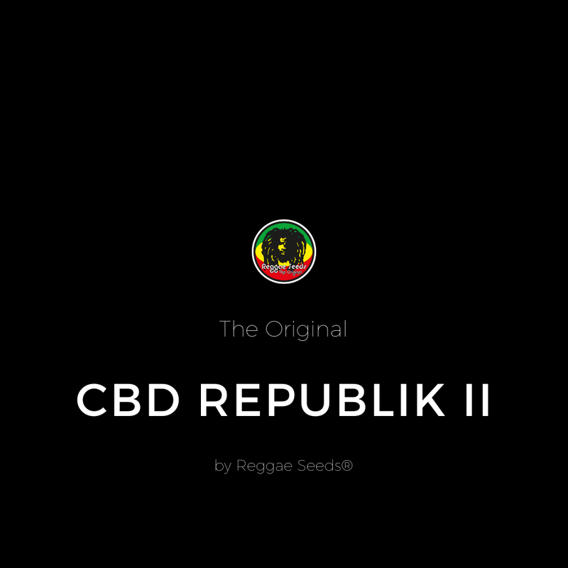 CBD Republik II