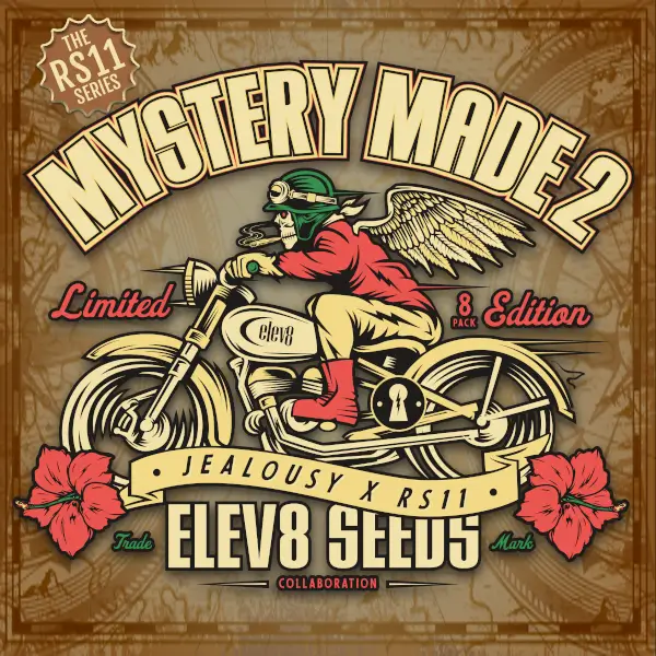 Mystery Made 2