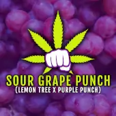 Sour Grape Punch