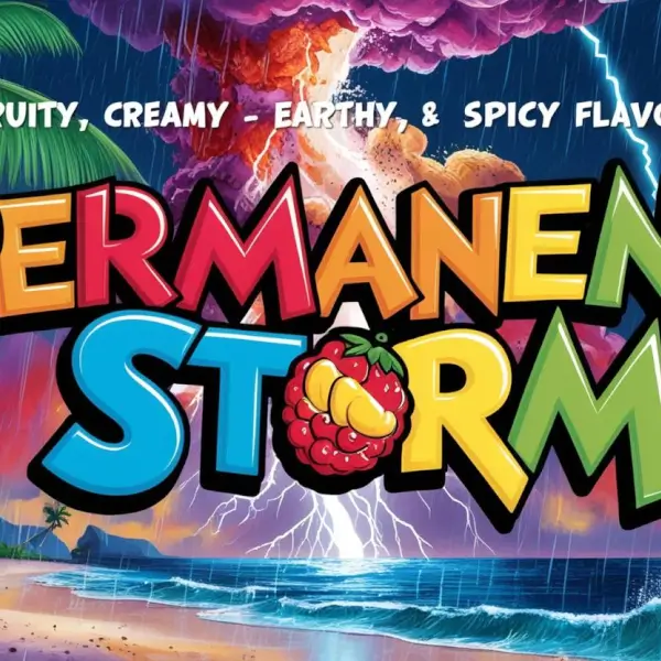 Permanent Storm