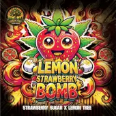 Lemon Strawberry Bomb
