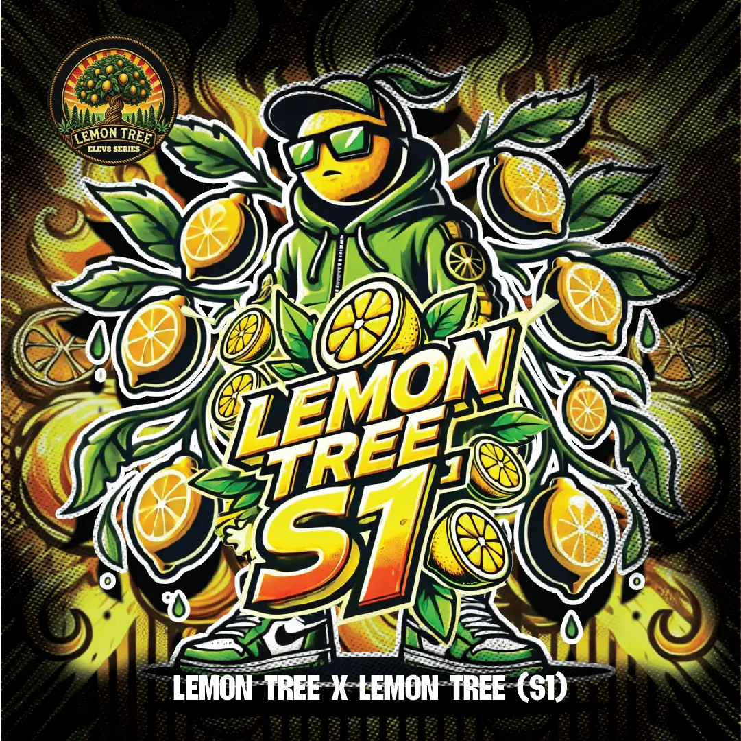 Lemon Tree