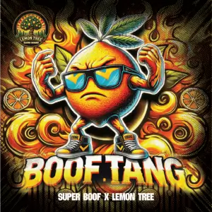 Boof Tang