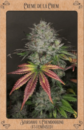 Creme de la Chem Auto