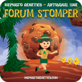 Forum Stomper Auto