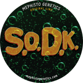 S.O.D.K. Auto