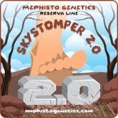 Skystomper Auto