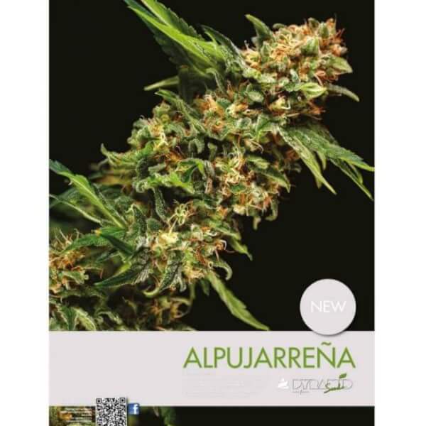 Alpujarreña