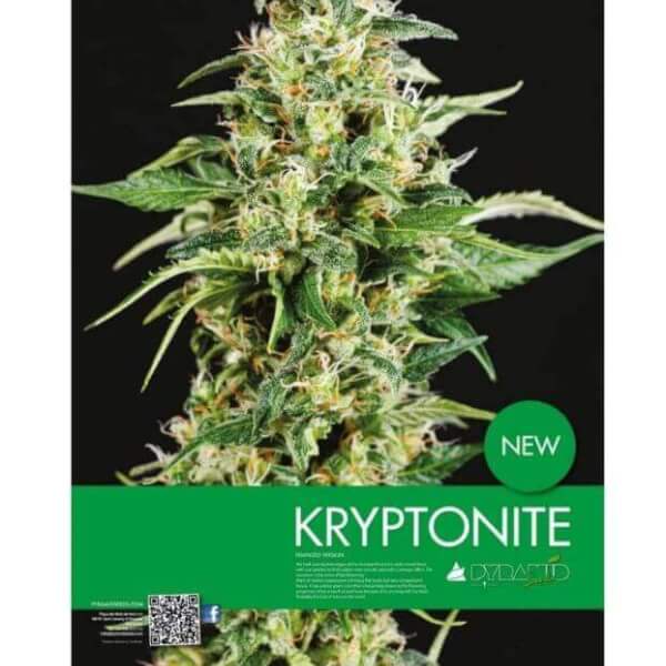 Kryptonite