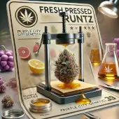 Fresh Pressed Runtz