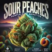 Sour Peaches