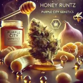 Honey Runtz