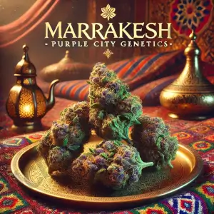 Marrakesh