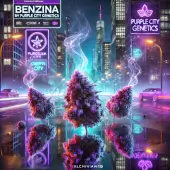 Benzina