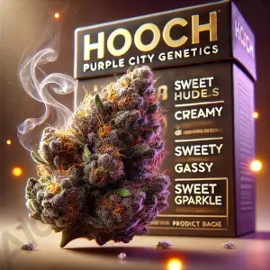 Hooch
